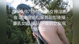 收集的一些淫妻BBC题材的合集2【292V】 (26)