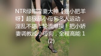 内射小人妻的大骚穴