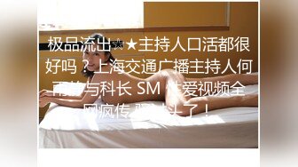 极品流出☆★主持人口活都很好吗？上海交通广播主持人何雨静与科长 SM 性爱视频全网疯传 骚过头了！