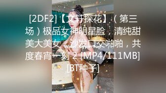 背纹身萌萌哒双马尾美妞，无聊和炮友来一炮，特写深喉吸吮很卖力