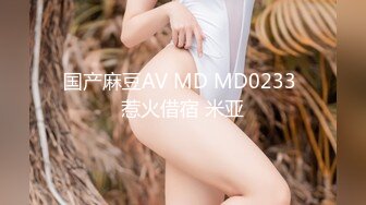 国产麻豆AV MD MD0233 惹火借宿 米亚