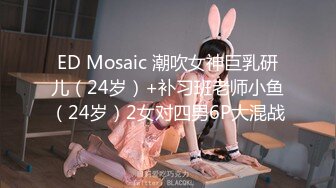 麻豆传媒 md-0303 孤注一掷-夏晴子、姚彤彤