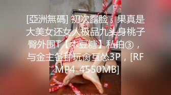 清秀如莲花Ts味儿的猫-职业成功女性、石榴裙下隐藏着秘密，两发妖液隔着丝袜喷射！ (3)