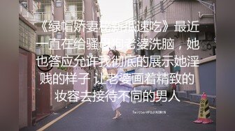 《绿帽娇妻秘新瓜速吃》最近一直在给骚母狗老婆洗脑，她也答应允许我彻底的展示她淫贱的样子 让老婆画着精致的妆容去接待不同的男人