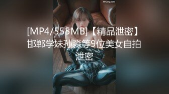 儿Victoria NO.004 黑丝吊带