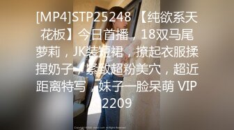 极品爆奶骚浪人妻Seoul最新流出-穿着各式丝袜各种被爆操 淫荡丝袜篇