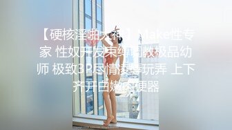 爆乳女仆露脸版冲刺必备