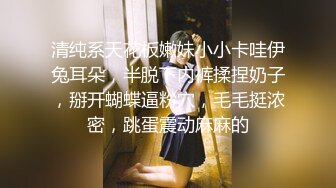 清纯系天花板嫩妹小小卡哇伊兔耳朵，半脱下内裤揉捏奶子，掰开蝴蝶逼粉穴，毛毛挺浓密，跳蛋震动麻麻的