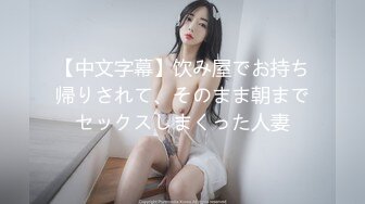 【中文字幕】饮み屋でお持ち帰りされて、そのまま朝までセックスしまくった人妻