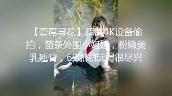 【壹屌寻花】超清4K设备偷拍，苗条外围小姐姐，粉嫩美乳翘臀，69啪啪玩得很尽兴