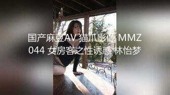 国产麻豆AV 猫爪影像 MMZ044 女房客之性诱惑 林怡梦