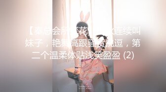 【秦总会所探花】小伙连续叫妹子，艳舞高跟骚货挑逗，第二个温柔体贴浅笑盈盈 (2)