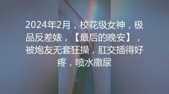 力量和速度并存的打桩 粤B