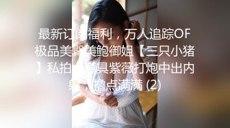 猎奇最美人妖系列张恩静2