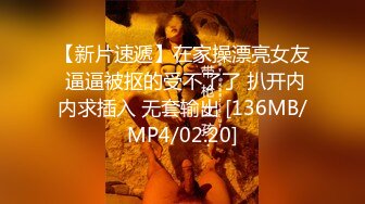 11月震撼流出，只约漂亮的美人妻，推特20W粉大V网黄【秀才】最新，各种反差小姐姐被花式爆肏，全是极品妞真羡慕 (3)