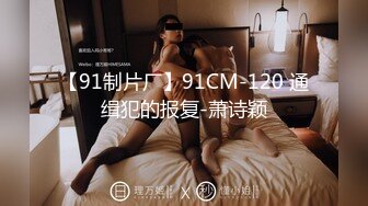 【91制片厂】91CM-120 通缉犯的报复-萧诗颖