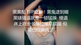 Twitter摄影师 SY伦啊极品小母狗被金主各种调教粉嫩可爱极品炮架[301P/382M]