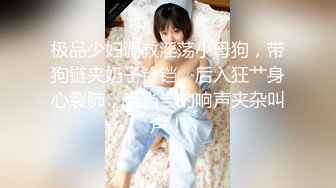 P站20万粉华裔网黄「北京瑶瑶」「Lonelymeow」OF旅游性爱日记 3P百合爆菊潮吹露出 (2)