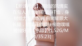 麻豆传媒-淫之许愿精灵-袁子仪