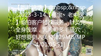 看着老婆和二老公做