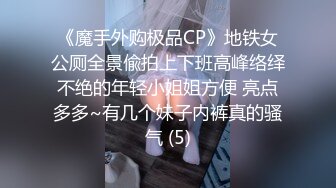 [MP4]麻豆传媒-菜鸟特务 入侵者的反姦凌辱-袁子仪