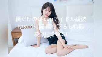 僕だけのG-cupアイドル綾波ゆめ 4時間 撮り下ろし特典映像付きBEST