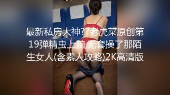 探花沈先生爆操情趣黑丝外围女