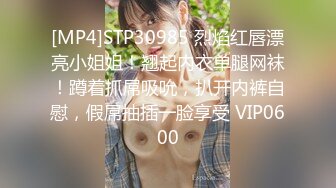 [MP4]STP30985 烈焰红唇漂亮小姐姐！翘起内衣单腿网袜！蹲着抓屌吸吮，扒开内裤自慰，假屌抽插一脸享受 VIP0600