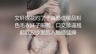 文轩探花约了个高颜值极品粉色毛衣妹子啪啪，口交舔逼翘起屁股沙发后入抽插猛操