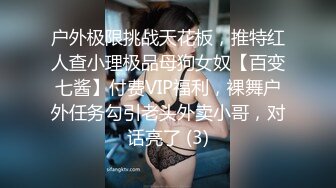 户外极限挑战天花板，推特红人查小理极品母狗女奴【百变七酱】付费VIP福利，裸舞户外任务勾引老头外卖小哥，对话亮了 (3)