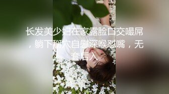 現役OL的高收入私下打工4 ～無套自拍ＳＥＸ中瘋狂的婉約ＯＬ～