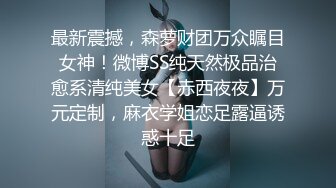 游乐场女厕全景偷拍长裙美少妇的无毛大肥鲍