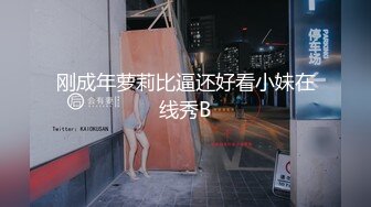 肉丝MM自摸91验证