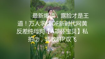 轻熟妇的酒店性爱字幕版