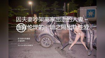 因夫妻吵架离家出走的人妻～违背伦理的一墙之隔出轨性爱～