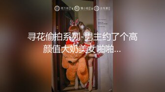 寻花偷拍系列-男主约了个高颜值大奶美女啪啪…