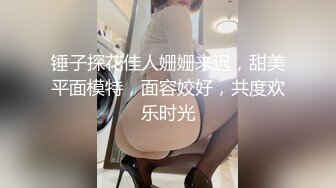 锤子探花佳人姗姗来迟，甜美平面模特，面容姣好，共度欢乐时光