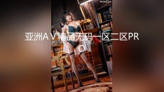 亚洲AⅤ精品无码一区二区PRO