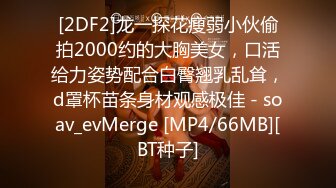 高颜值翻版范冰冰 黑丝高跟全自动女上位榨汁 每一下全根肉棒深深插入