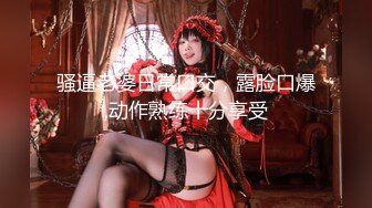 【MP4/HD】麻豆传媒 MD150-2 疫情下的背德假期 师生篇 季研希