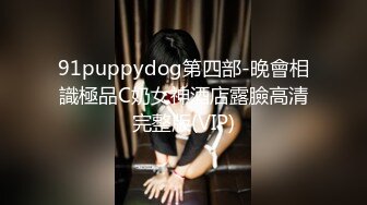 91puppydog第四部-晚會相識極品C奶女神酒店露臉高清完整版(VIP)