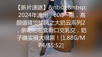 【新片速遞】&nbsp;&nbsp; 2024年流出，600一炮，高颜值骚货楼凤之大奶云系列2，亲吻啪啪紫薇口交乳交，奶子确实很大很屌！[1.88G/MP4/55:52]