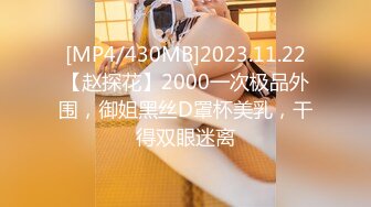 [MP4/430MB]2023.11.22【赵探花】2000一次极品外围，御姐黑丝D罩杯美乳，干得双眼迷离