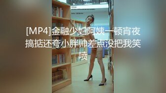 [MP4]金融少妇阿姨一顿宵夜搞掂还夸小胖帅差点没把我笑喷