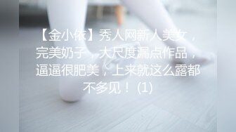 【金小依】秀人网新人美女，完美奶子，大尺度漏点作品，逼逼很肥美，上来就这么露都不多见！ (1)