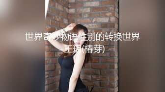 我的骚逼老婆2