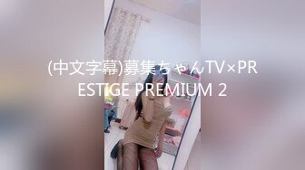 (中文字幕)募集ちゃんTV×PRESTIGE PREMIUM 2