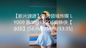 【新片速遞】绝对领域传媒 LY009 圆梦技师COS蜘蛛侠【水印】[563MB/MP4/33:35]