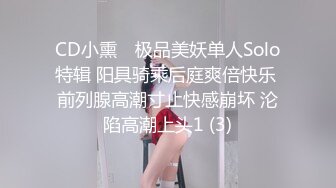 CD小熏✨ 极品美妖单人Solo特辑 阳具骑乘后庭爽倍快乐 前列腺高潮寸止快感崩坏 沦陷高潮上头1 (3)