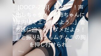 [DOCP-258] 「しぃ～！声出しちゃダメ…お姉ちゃんには内緒でエッチしよう…」妻の妹に迫られ「ダメだよっ！」と振り払うもムチムチの胸を押し付けられ…